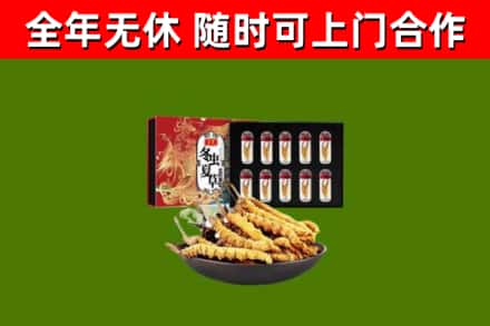 大东区烟酒回收冬虫夏草礼盒.jpg
